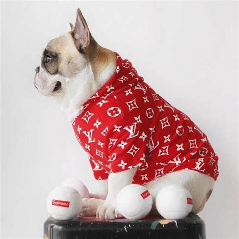 Stylish Dog Fashion: Louis Vuitton Designer Clothes for Your Furry Friend